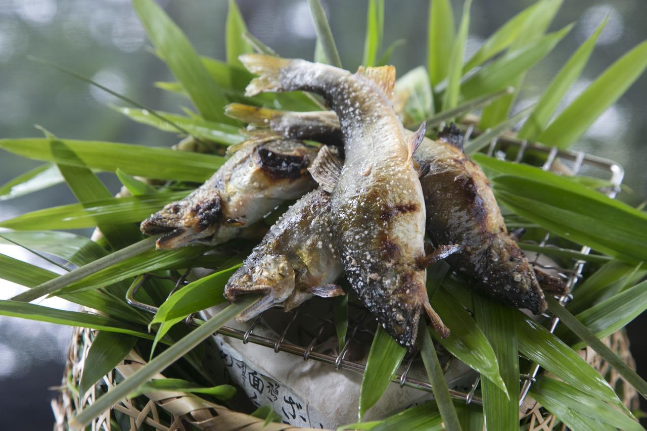 스이메이칸 게로 외부 사진 A pair of the frogs